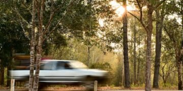 2025 Honda CR-V Hybrid Review: Is It Worth Buying? - Cover Image