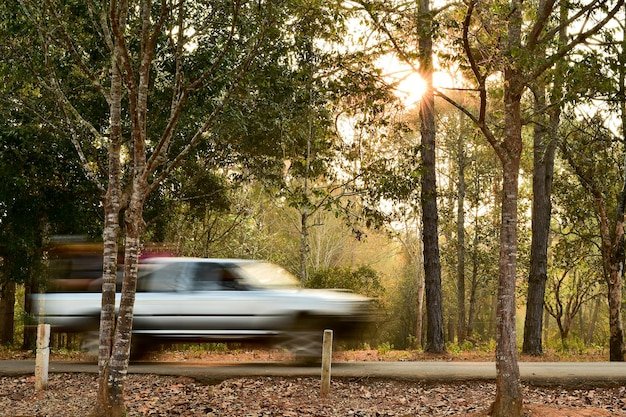 2025 Honda CR-V Hybrid Review: Is It Worth Buying?